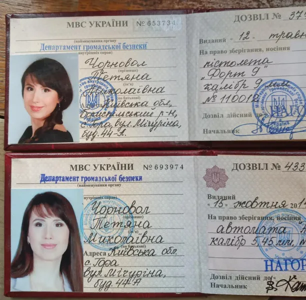 Черновол Татьяна Николаевна полное досье компромат