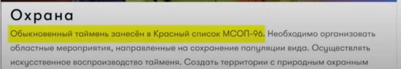 Блиновская Елена Олеговна полное досье компромат